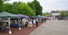 Bild: Gewerbeschau Denzlingen 09 - Flohmarkt III